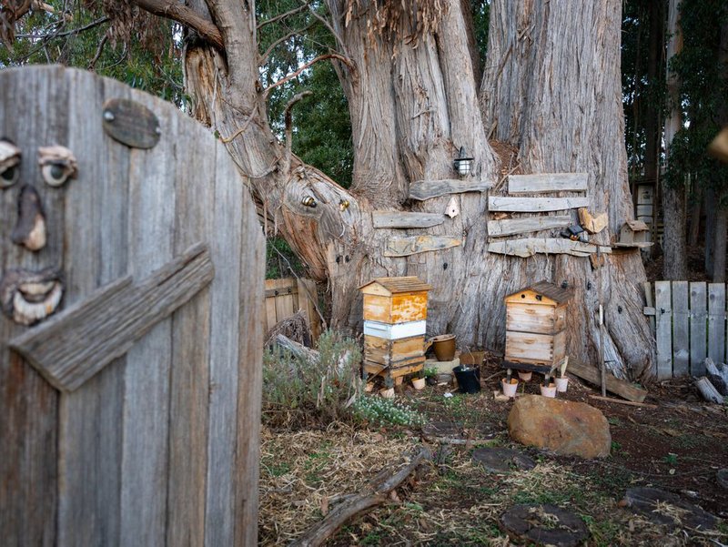 Photo - 4 Travers Lane, Howth TAS 7316 - Image 24