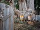Photo - 4 Travers Lane, Howth TAS 7316 - Image 24