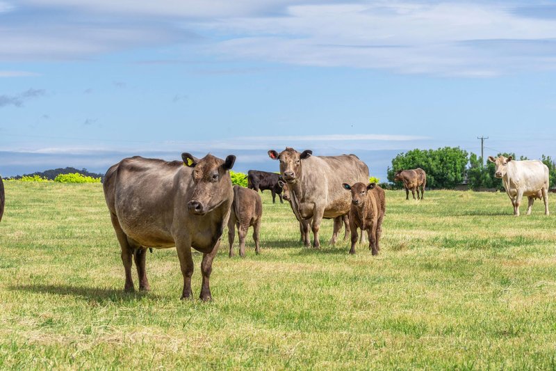 Photo - 4 Travers Lane, Howth TAS 7316 - Image 25