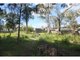 Photo - 4 Truscott Avenue, Sanctuary Point NSW 2540 - Image 2