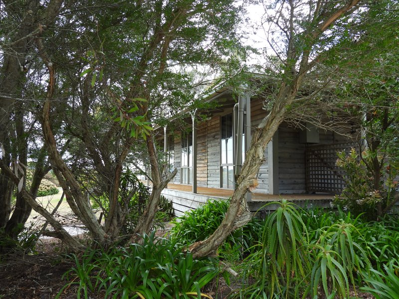 Photo - 4 Vinegar Hill Drive, Lady Barron TAS 7255 - Image 14