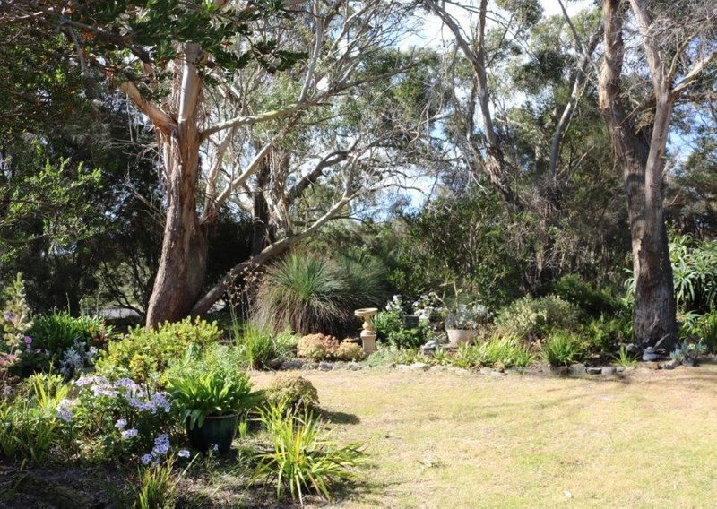 Photo - 4 Vinegar Hill Drive, Lady Barron TAS 7255 - Image 28