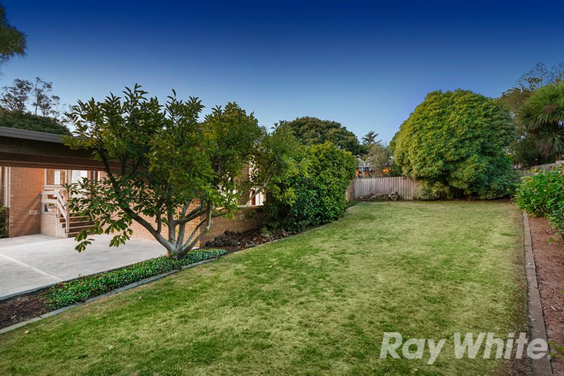 Photo - 4 Wendouree Court, Vermont South VIC 3133 - Image 10