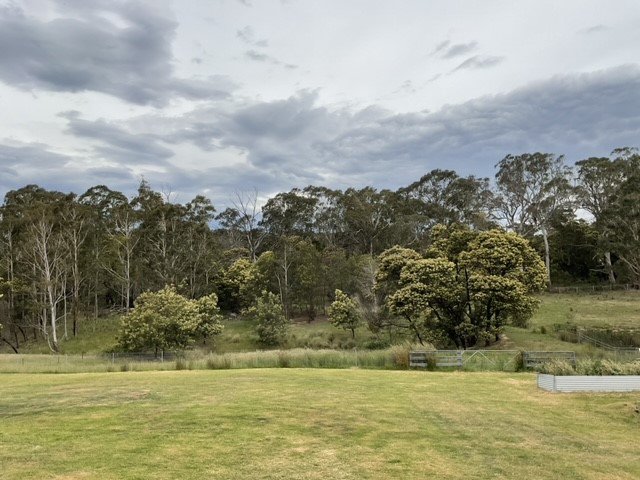 Photo - 4 Wilson Lane, Majors Creek NSW 2622 - Image 14