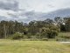 Photo - 4 Wilson Lane, Majors Creek NSW 2622 - Image 14