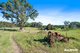 Photo - 4 Wiltshire Lane, Bodalla NSW 2545 - Image 12