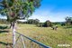 Photo - 4 Wiltshire Lane, Bodalla NSW 2545 - Image 15
