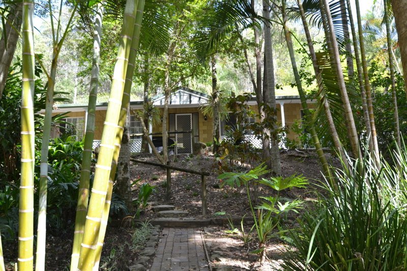 Photo - 4 Woodlands Court, Mooloolah Valley QLD 4553 - Image 5