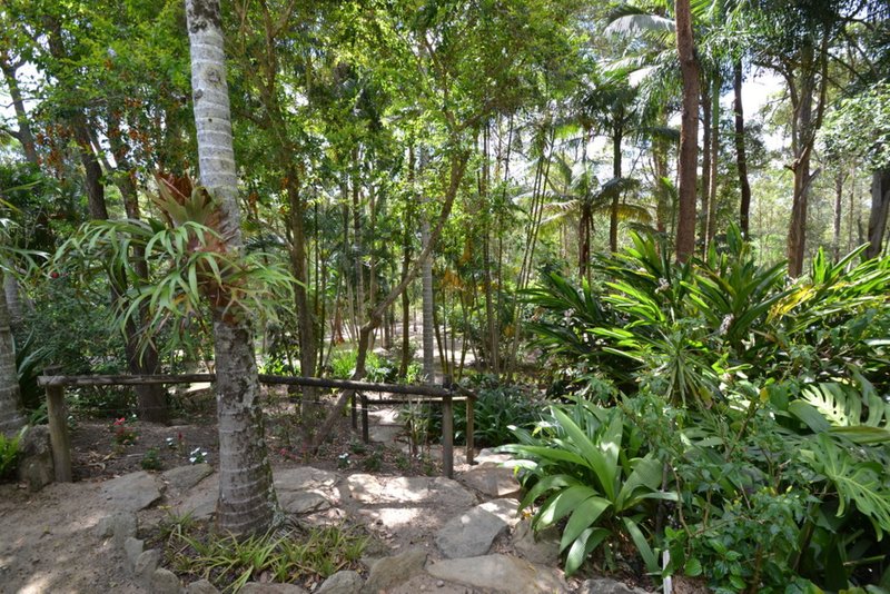 Photo - 4 Woodlands Court, Mooloolah Valley QLD 4553 - Image 14