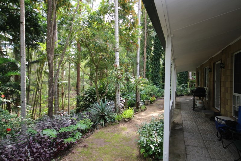 Photo - 4 Woodlands Court, Mooloolah Valley QLD 4553 - Image 17