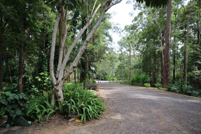 Photo - 4 Woodlands Court, Mooloolah Valley QLD 4553 - Image 19