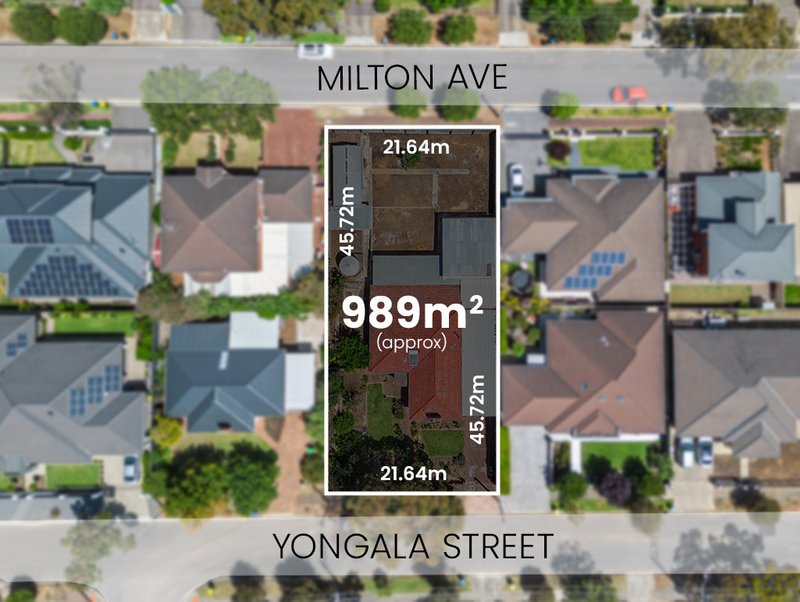 Photo - 4 Yongala Street, Tranmere SA 5073 - Image 3