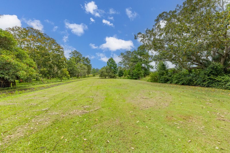 Photo - 40 Archer Street, Woodford QLD 4514 - Image 5