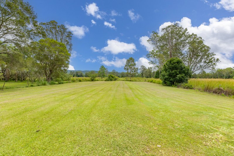 Photo - 40 Archer Street, Woodford QLD 4514 - Image 14