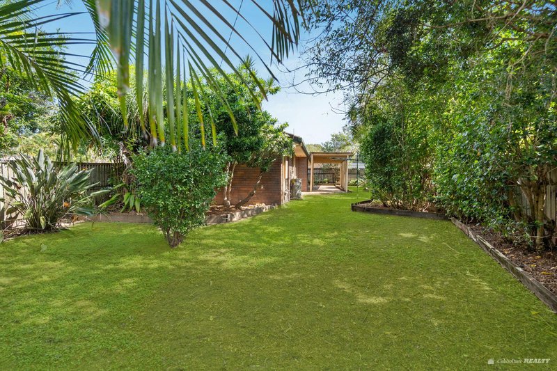 Photo - 40 Avocado Drive, Caboolture South QLD 4510 - Image 12