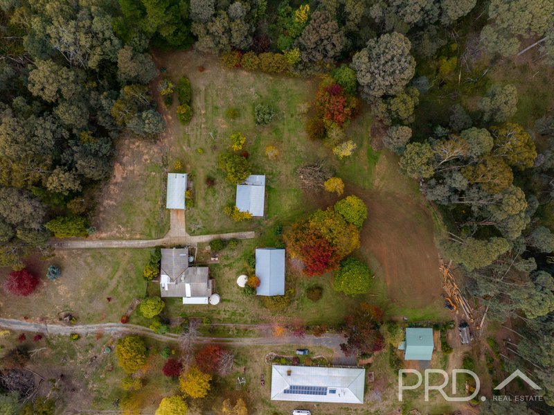 Photo - 40 Bago Forest Way, Batlow NSW 2730 - Image 17