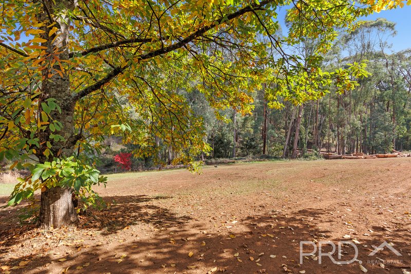 Photo - 40 Bago Forest Way, Batlow NSW 2730 - Image 19