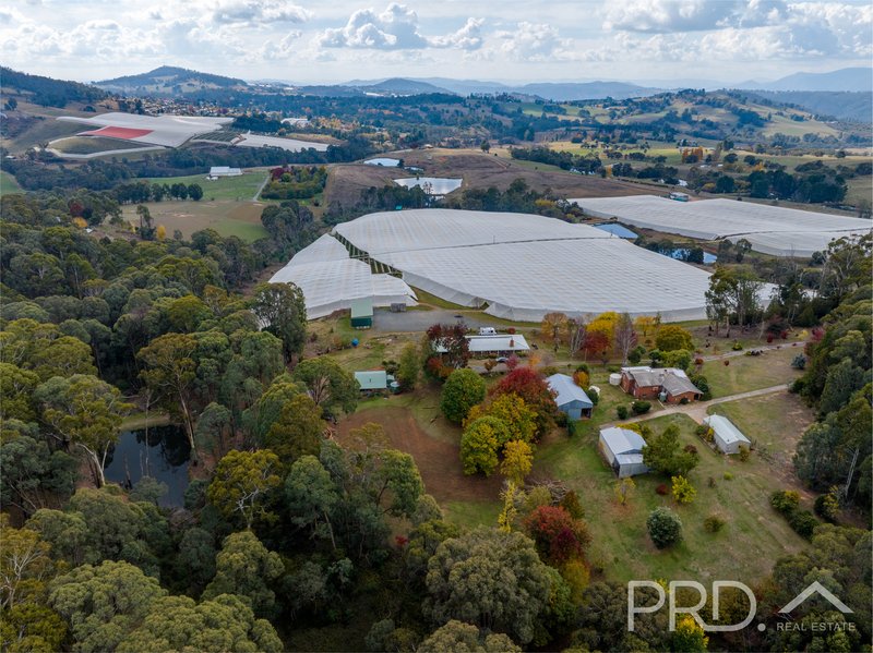 Photo - 40 Bago Forest Way, Batlow NSW 2730 - Image 27