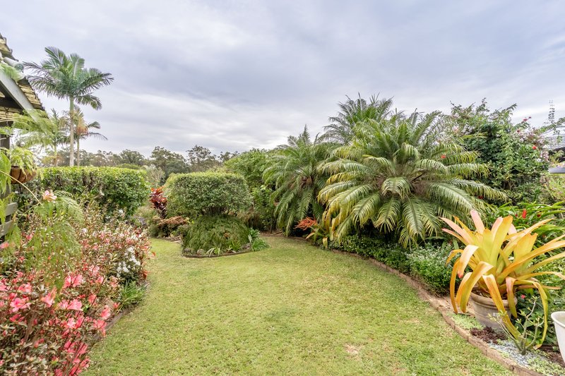 Photo - 40 Barbaralla Drive, Springwood QLD 4127 - Image 14