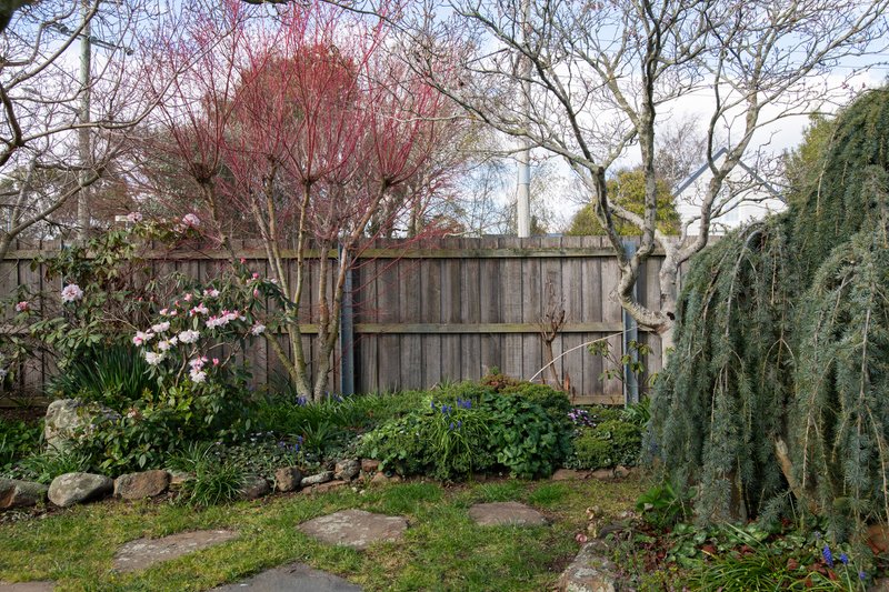 Photo - 40 Barclay Street, Evandale TAS 7212 - Image 17