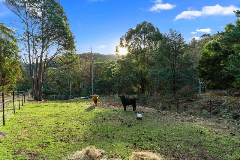 Photo - 40 Blackwells Road, Magra TAS 7140 - Image 23