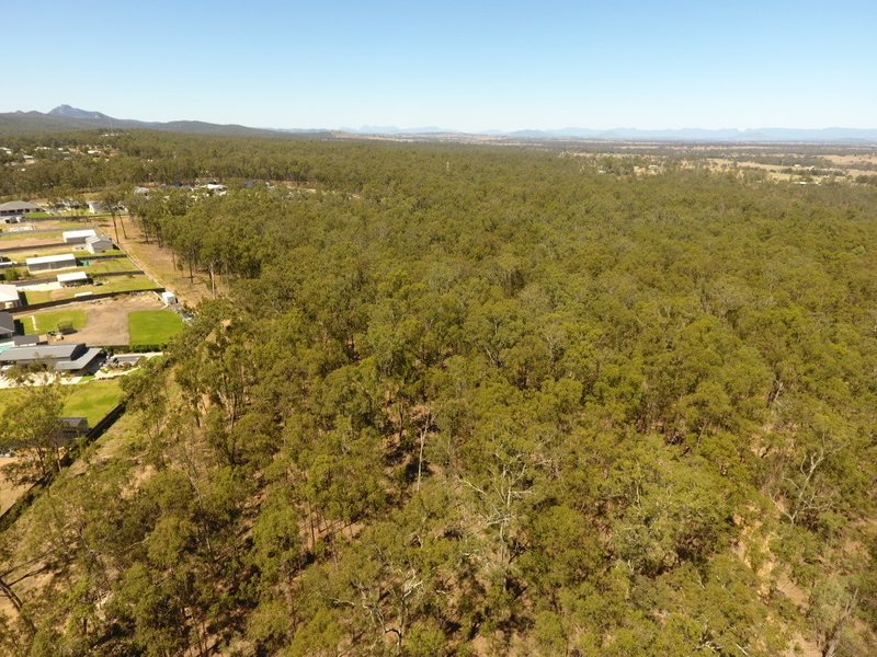 Photo - 40 Broadway Court, Deebing Heights QLD 4306 - Image 11