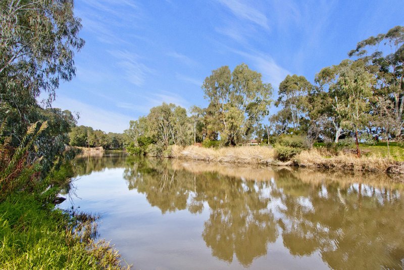 Photo - 40 Canino Drive, Kidman Park SA 5025 - Image 17