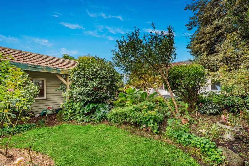 Photo - 40 Canterbury Road, Blackburn South VIC 3130 - Image 7