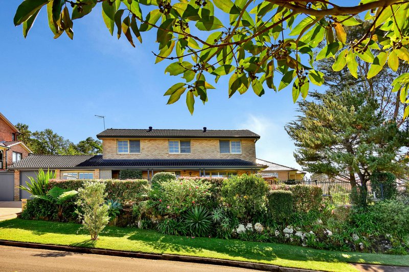 Photo - 40 Cook Street, Forestville NSW 2087 - Image 1