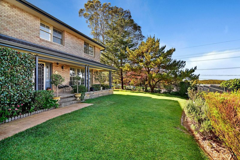 Photo - 40 Cook Street, Forestville NSW 2087 - Image 7