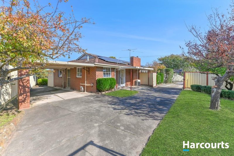 Photo - 40 Darnley Grove, Wheelers Hill VIC 3150 - Image 11