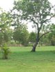 Photo - 40 Dominick Road, Herbert NT 0836 - Image 13