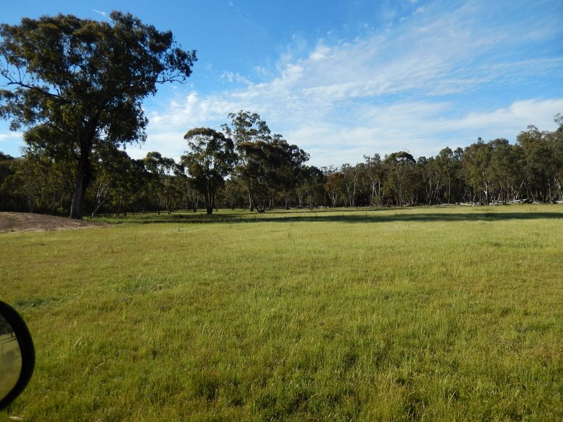 Photo - 40 DOWNS Tothills Road, Coonabarabran NSW 2357 - Image 5