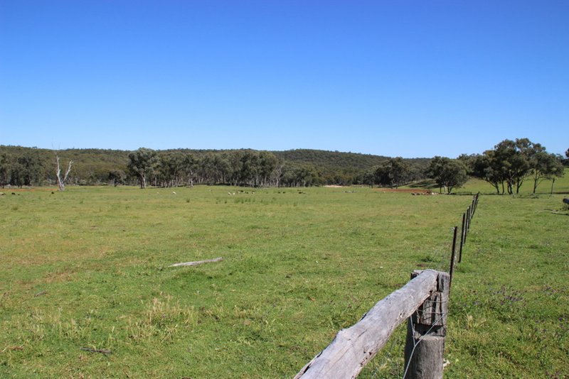 Photo - 40 DOWNS Tothills Road, Coonabarabran NSW 2357 - Image 7