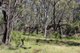 Photo - 40 DOWNS Tothills Road, Coonabarabran NSW 2357 - Image 9