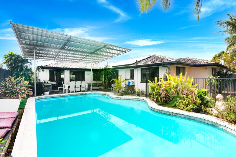 Photo - 40 Japonica Drive, Palm Beach QLD 4221 - Image 4