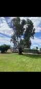 Photo - 40 King Street, Cunnamulla QLD 4490 - Image 7