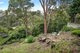 Photo - 40 Lower Cliff Avenue, Northbridge NSW 2063 - Image 8