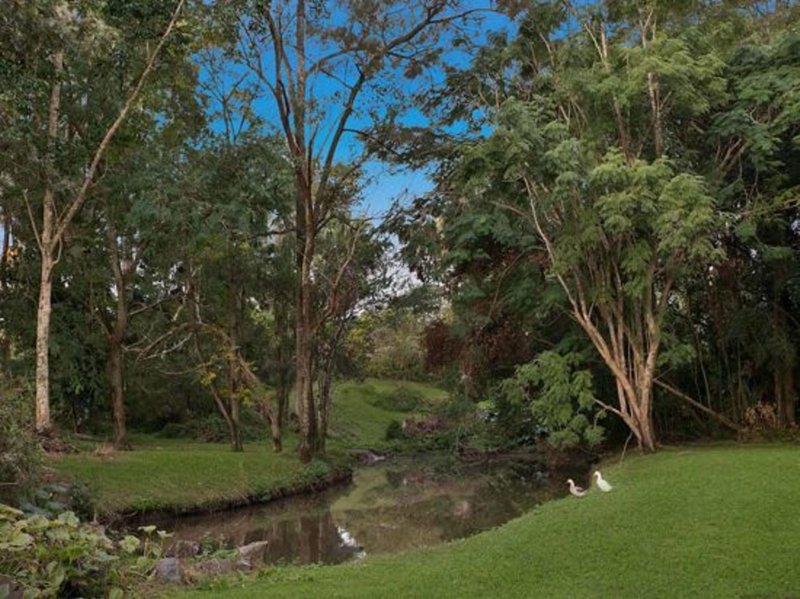 Photo - 40 Maleny Street, Landsborough QLD 4550 - Image 17