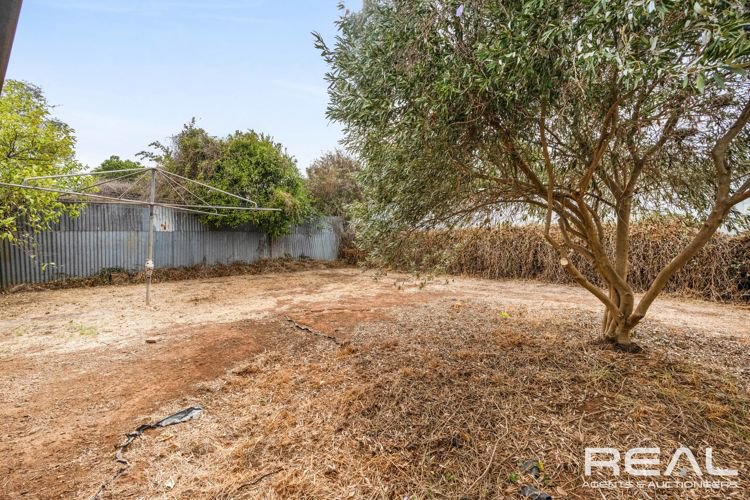 Photo - 40 Marcian Avenue, Elizabeth Downs SA 5113 - Image 18