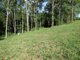 Photo - 40 Martins Creek Road, Buderim QLD 4556 - Image 3