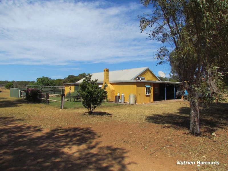 Photo - 40 Matsen Road, Dongara WA 6525 - Image 31