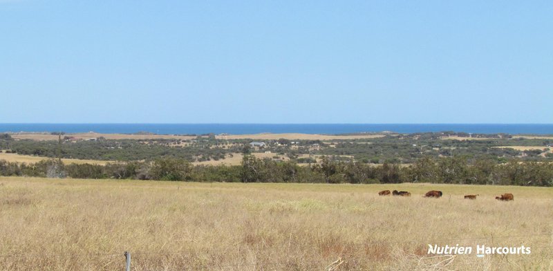 Photo - 40 Matsen Road, Dongara WA 6525 - Image 33