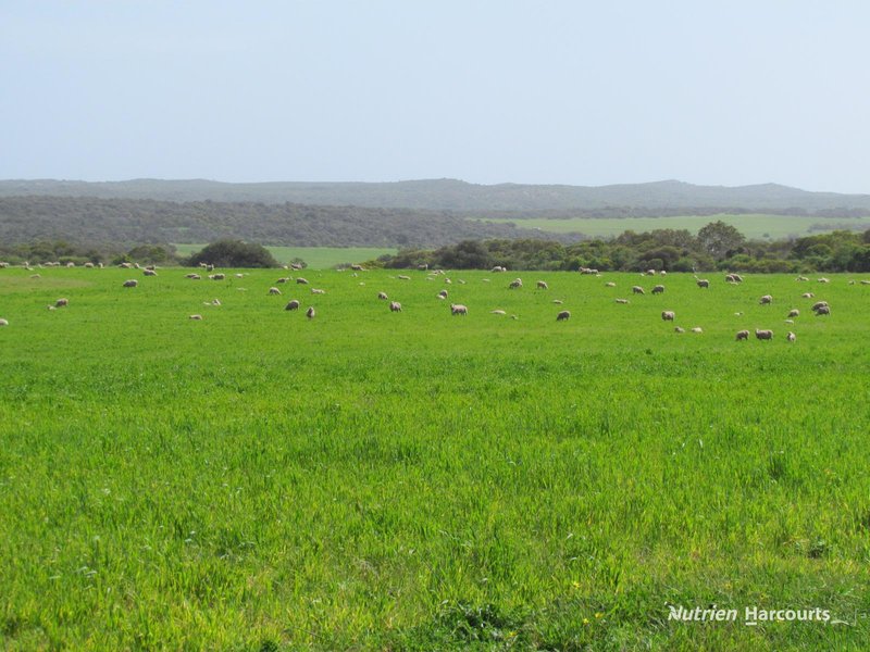 Photo - 40 Matsen Road, Dongara WA 6525 - Image 8