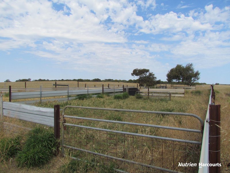 Photo - 40 Matsen Road, Dongara WA 6525 - Image 28