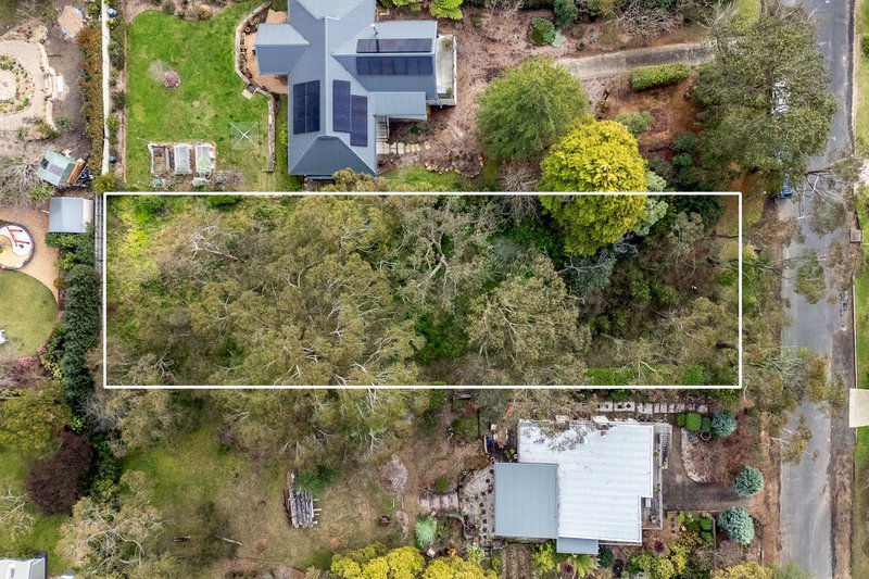 Photo - 40 Mclaughlin Avenue, Wentworth Falls NSW 2782 - Image 1