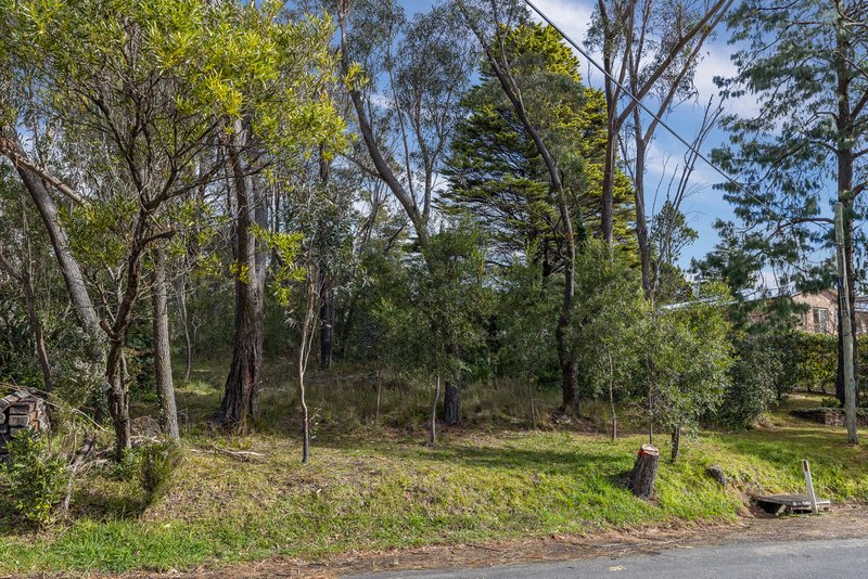 Photo - 40 Mclaughlin Avenue, Wentworth Falls NSW 2782 - Image 8