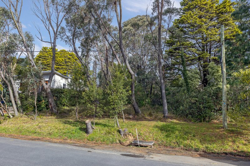 Photo - 40 Mclaughlin Avenue, Wentworth Falls NSW 2782 - Image 9