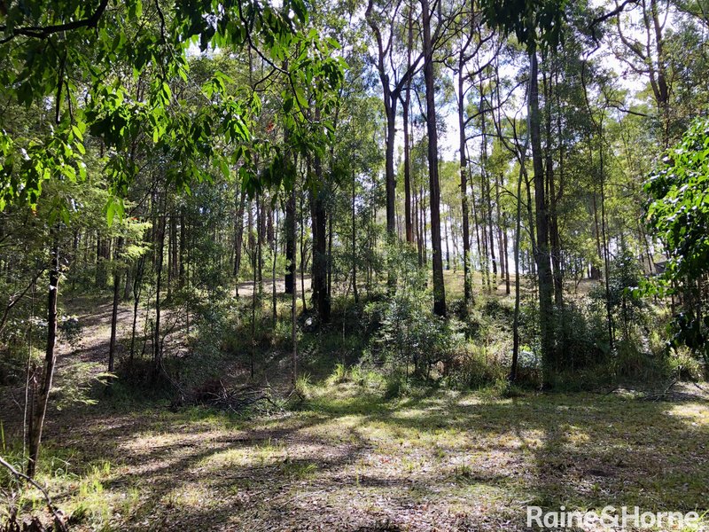 Photo - 40 Mountain Street, Pomona QLD 4568 - Image 13