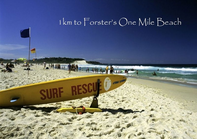 Photo - 40 Pioneer Drive, Forster NSW 2428 - Image 5